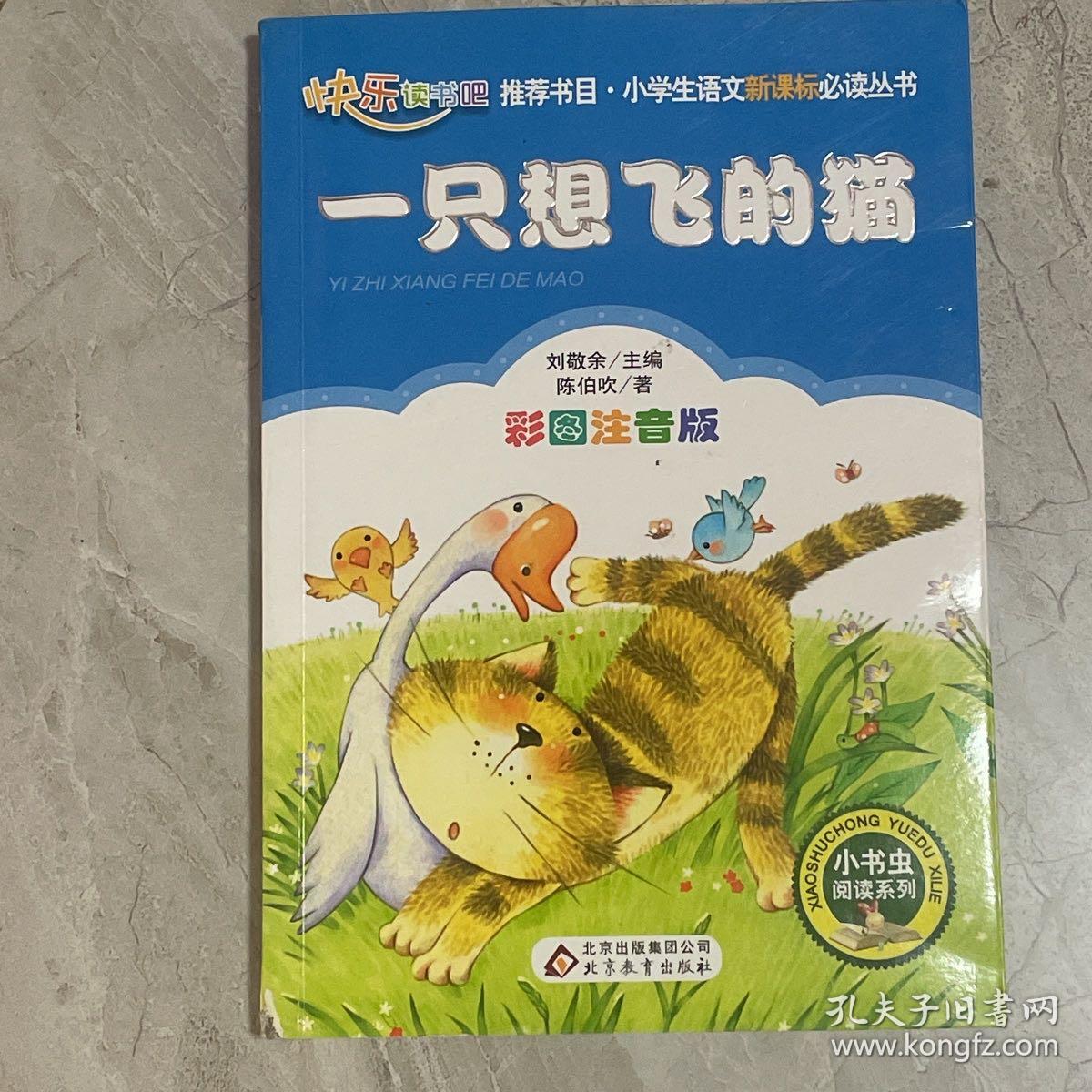一直想飞的猫