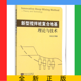新型攪拌樁復(fù)合地基理論與技術(shù)