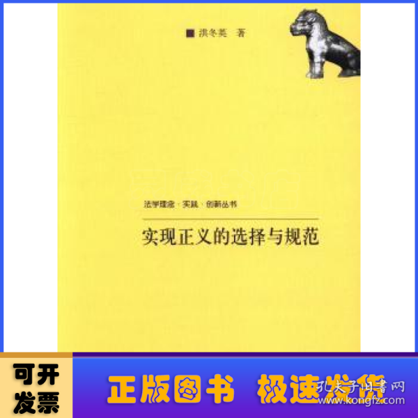 法学理念·实践·创新丛书：实现正义的选择与规范