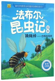 捕蝇蜂--合格的母亲(彩绘美图版)/法布尔昆虫记绘本