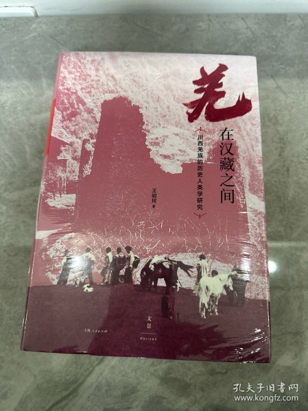 羌在汉藏之间：川西羌族的历史人类学研究（《华夏边缘》作者王明珂经典力作，川西羌族全解）