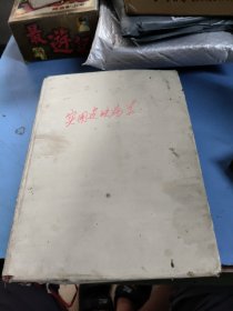 實用皮膚病學 第二版