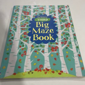 the usborne Third Big Maze Book