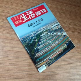 （满包邮）三联生活周刊2021年第51期 小镇子大生意 中国产业集群调查