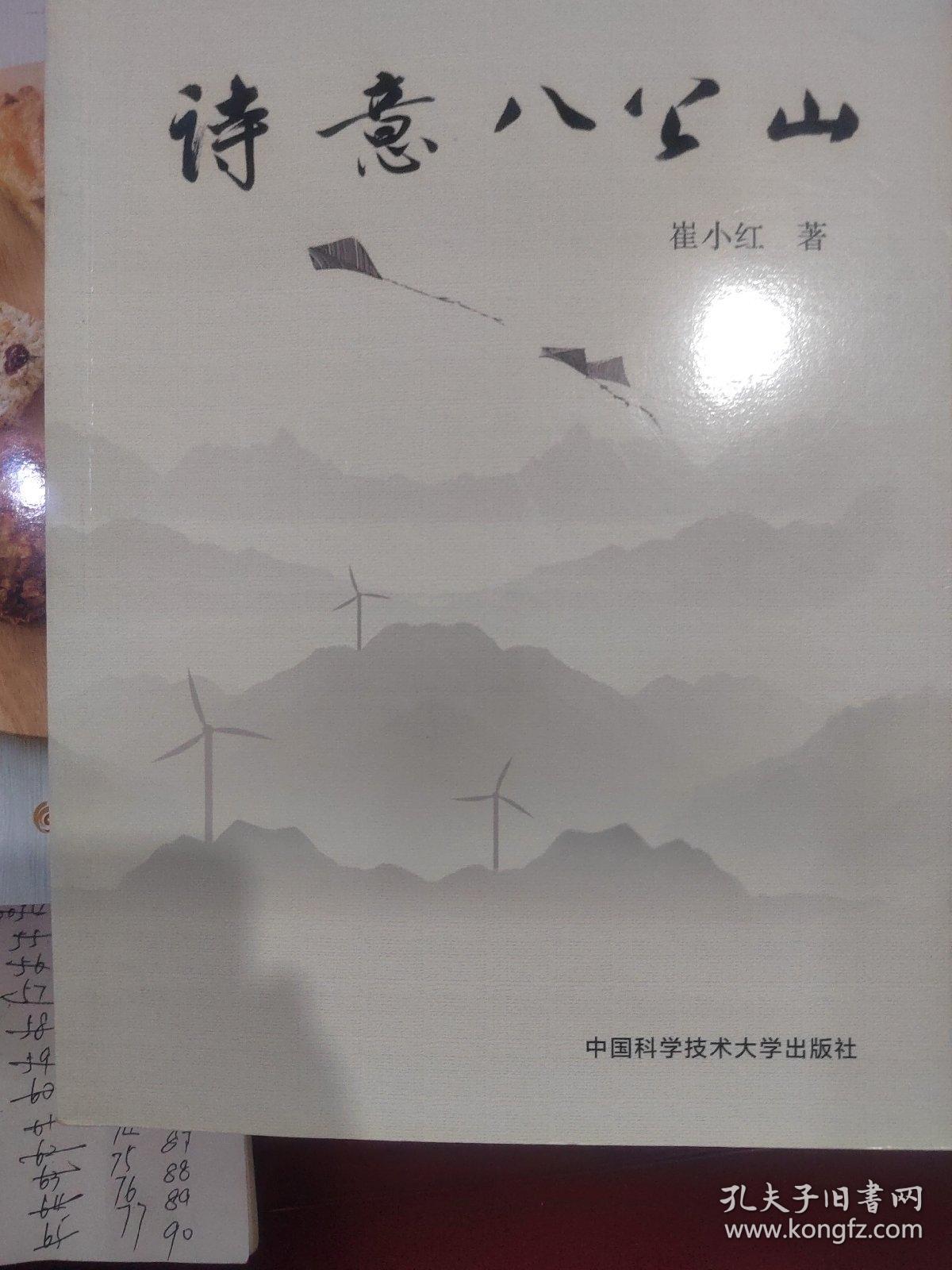 诗意八公山
