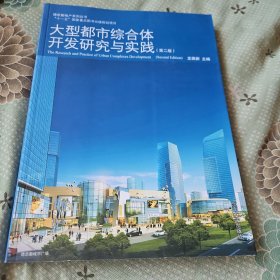 大型都市综合体开发研究与实践（第2版）