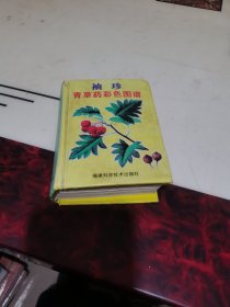 袖珍青草药彩色图谱