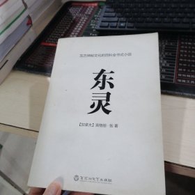 东灵：东方神秘文化的百科全书式小说