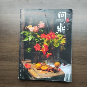 问鼎联考·色彩静物照片