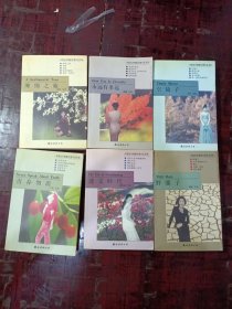 中国当代情爱伦理作品书系6本合售（中国当代情爱伦理作品书系 永远有多远 缠绵之旅 空镜子 青春勿语 透支时代 野骡子）