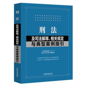 刑法及司法解释、相关规定与典型案例指引(含刑法修正案(十二))(2023)