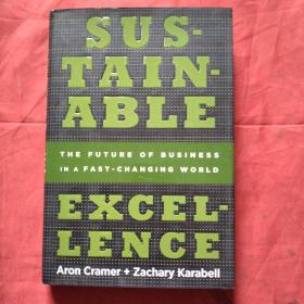 Sustainable Excellence: The Future of Business in a Fast-Changing World保持卓越：全球企业的未来【精装 原版]