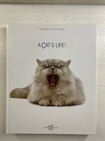 Photographs by Jane Burton：A Cat’s Life（6开精装）图册（正版如图、内页干净）
