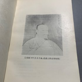 王通论
