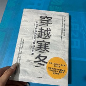 穿越寒冬:《让大象飞》作者的全新破冰力作