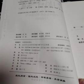 大国小镇：中国特色小镇顶层设计与行动路径