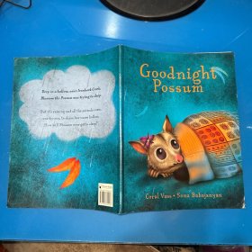 英文原版 Goodnight possum