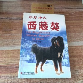 中华神犬——西藏獒