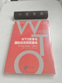 WTO改革与国际经贸规则重构：WTO法与中国（2020）未拆封