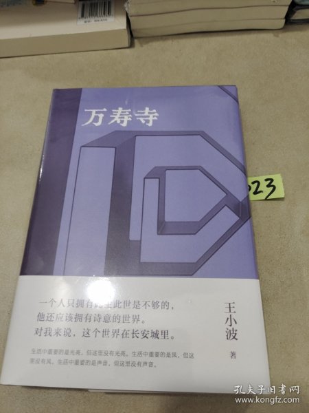 万寿寺（王小波经典，20世纪蕞好的汉语小说之一！马伯庸盛赞“无可救药地喜欢”，2023新版）