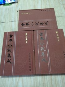 古本小说集成 隋史遗文（上中下）三册全 馆藏书未借阅 实物如图