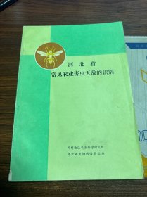 河北省常见农业害虫天敌的识别