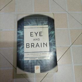 Eye and Brain  The Psychology of Seeing, Fifth E