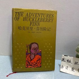 哈克贝里·芬历险记