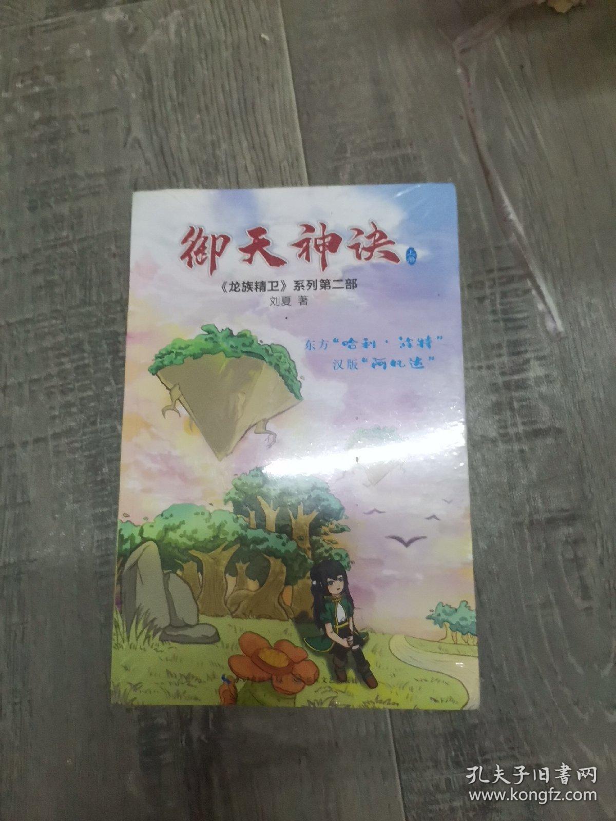 御天神诀（小16开A220102）（小16开53）