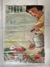 【包老包真 *时期**罕见宣传画】予防蛔虫病 沈阳市卫生教育馆1963年 20000幅 见图品弱慎拍