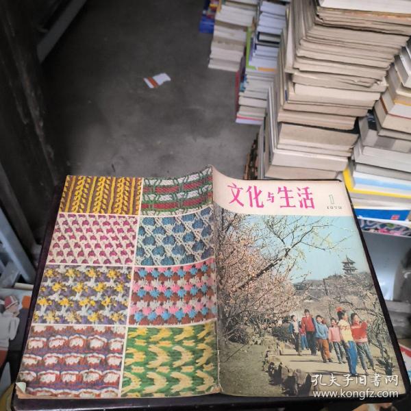 文化与生活1979年1辑 创刊号