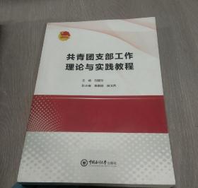 共青团支部工作理论与实践教程