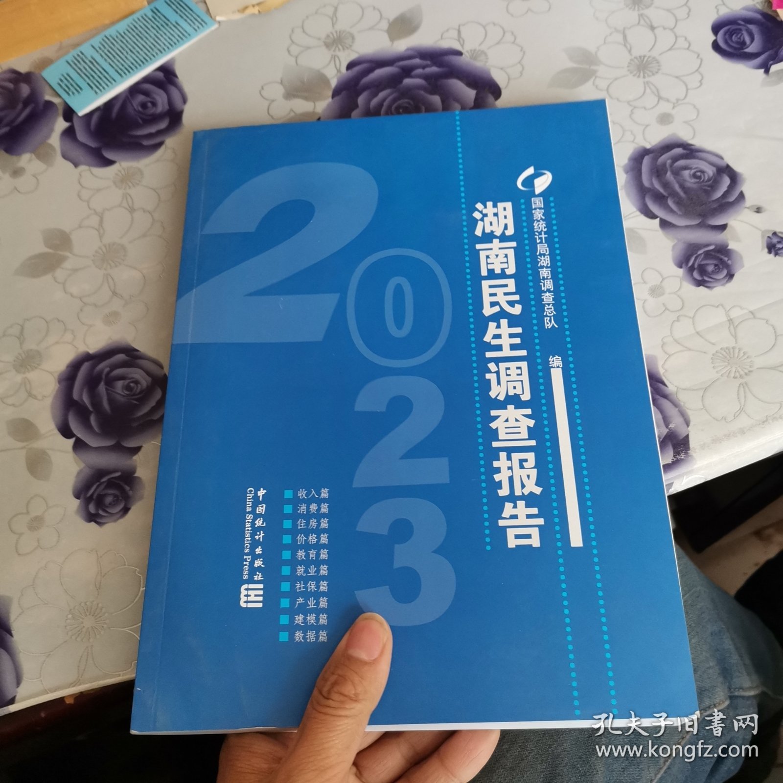 2023湖南民生调查报告