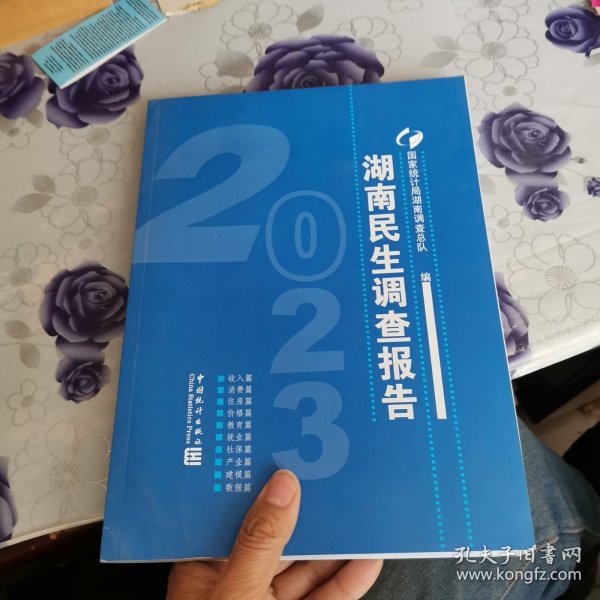 2023湖南民生调查报告