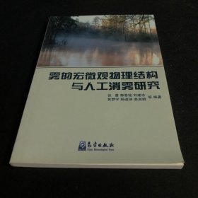 雾的宏微观物理结构与人工消雾研究