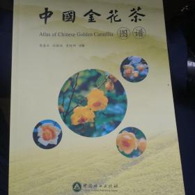 中国金花茶图谱