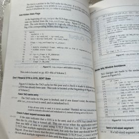 TCP/IP详解卷3:TCP事务协议 HTTP NNTP和UNIX域协议(英文版)
