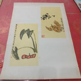 齐白石《蘑菇冬笋 南瓜慈菇》四开——早期老宣传画、老年画、日历画、宣传画报、美术作品系列......