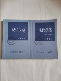 现代汉语（上下）