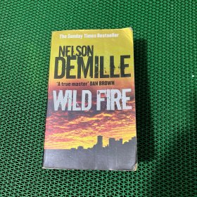 野火 Wild Fire