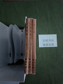 梁平波连环画专辑 十字军骑士上下 死亡岛 3册合售