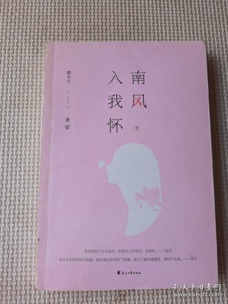 南风入我怀（全二册）