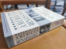 英文原版:Beneath the american renaissance