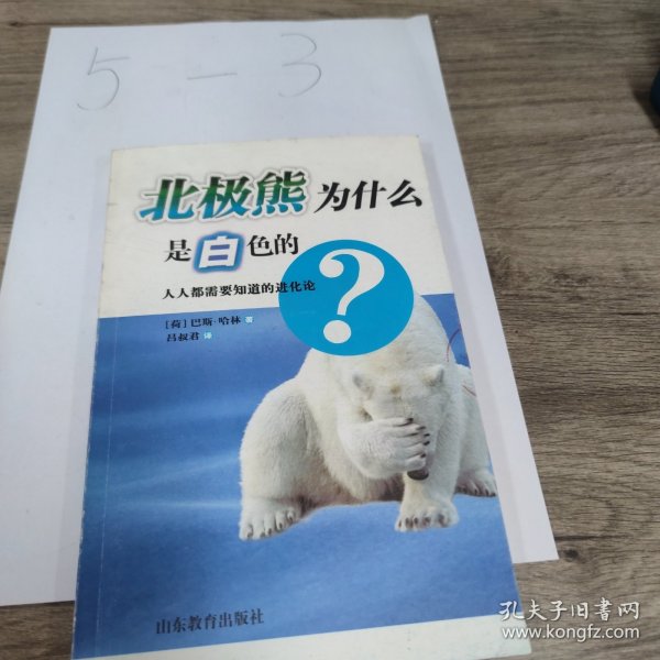 北极熊为什么是白色的？