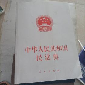 中华人民共和国民法典（大字本）（2020年6月）