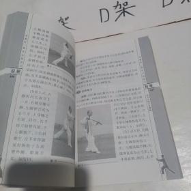 李雅轩杨氏太极剑刀精解