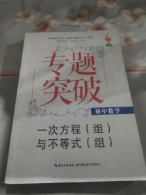 九头鸟专题突破·初中数学：一次方程（组）与不等式（组）