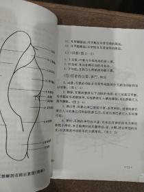 观耳识病:实用耳穴诊治保健彩图