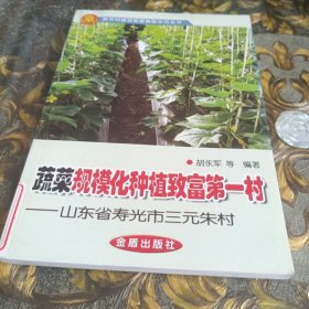 蔬菜规模化种植致富第一村山东省寿光市三元朱村