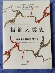 极简人类史：从宇宙大爆炸到21世纪